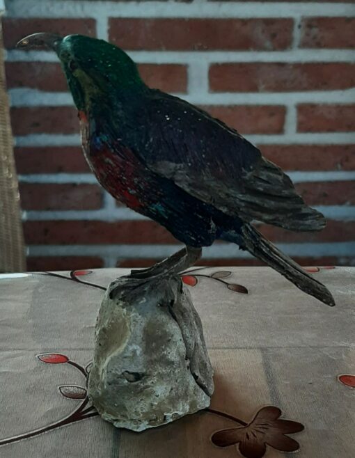 Colibrì dei caraibi Gola purpurea in scultura di argilla - immagine 3