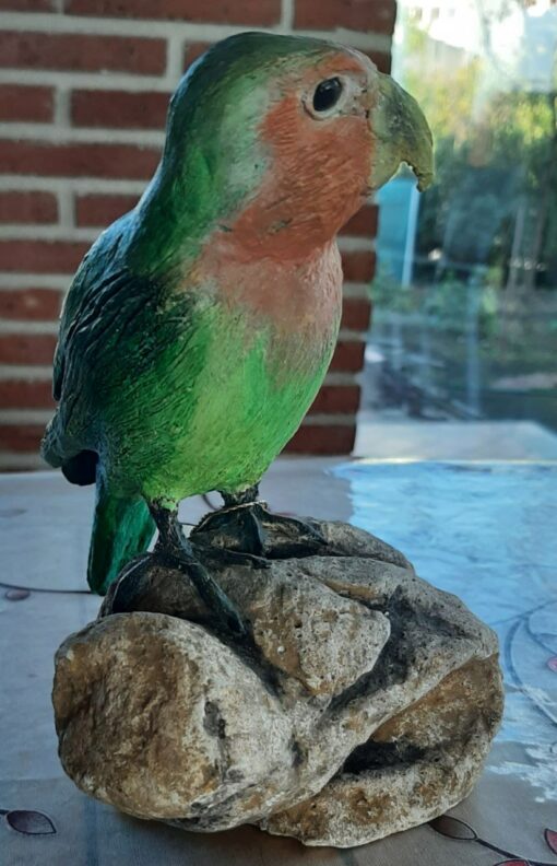 Pappagallo inseparabile, in scultura di argilla - immagine 2