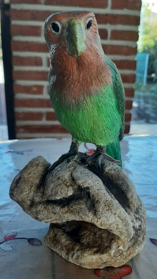 Pappagallo inseparabile, in scultura di argilla - immagine 3