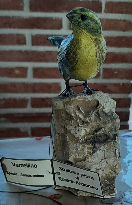 Verzellino, in scultura in argilla - immagine 3