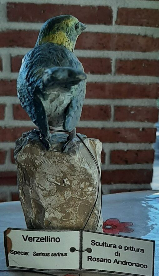 Verzellino, in scultura in argilla - immagine 4