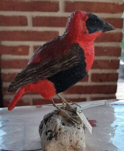 Tessitore fiammante granatiere, in scultura in argilla