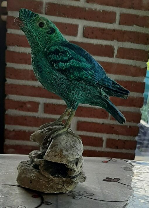 Rupicola verde, in scultura di argilla - immagine 2