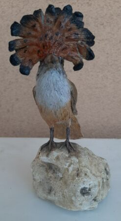 Uccello esotico n3, in scultura di argilla