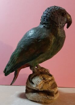 Pappagallo nero esotico in scultura di argilla