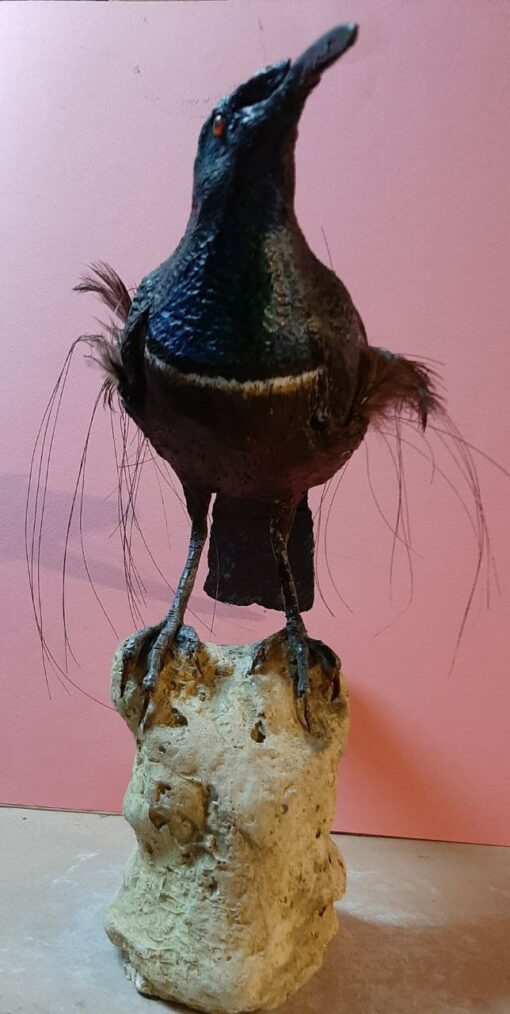 Paradisea becco a fucile i in scultura di argilla - immagine 3