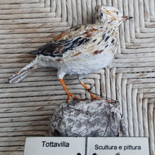 Tottavilla in scultura di argilla e dimensioni naturali - immagine 2