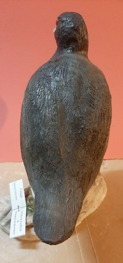Folaga in scultura di argilla e dimensioni naturali - immagine 4