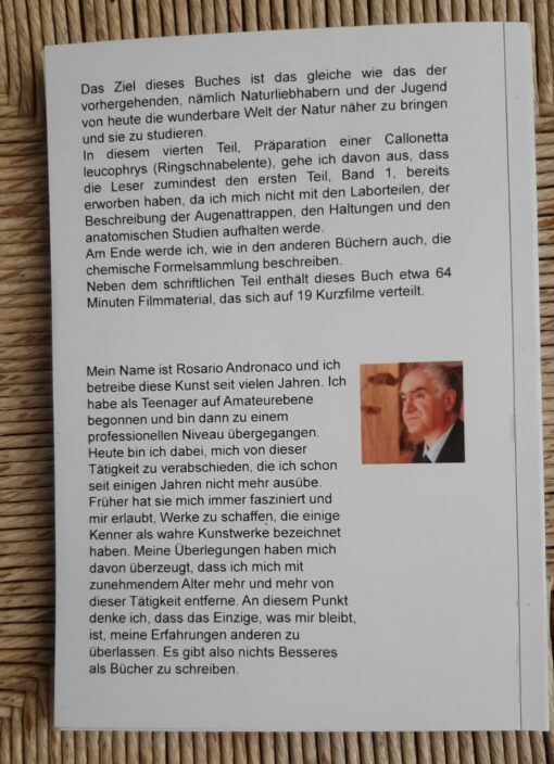 Taxidermie: Praparation Calonetta leucophrys Vogel ausgabe 2025 Teil IV - immagine 3