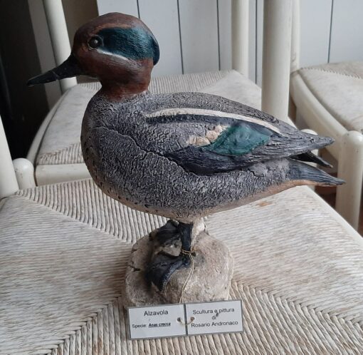 Alzavola maschio, scultura in dimensioni naturali da collezione