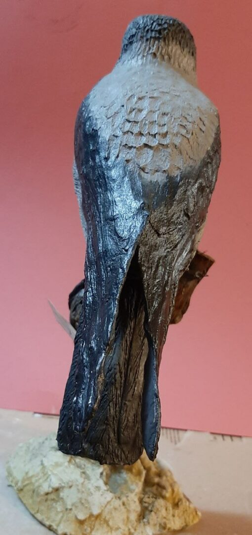 Cornacchia grigia in scultura e dimensioni Naturali - immagine 4