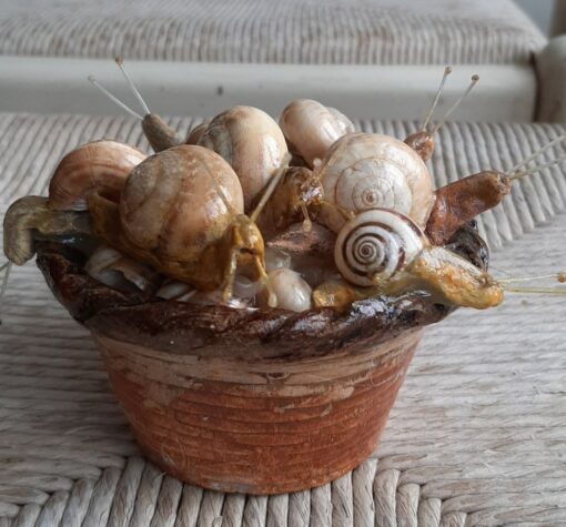Cestino con chiocciole - immagine 3