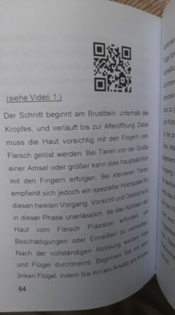 Alternative view of Hautpräparat einer Amsel in Deutsch