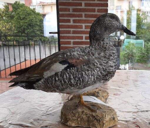 Canapiglia in scultura di argilla e dimensioni naturali da collezione - immagine 2