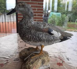Canapiglia in scultura di argilla e dimensioni naturali da collezione