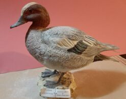 fischione in scultura di argilla e dimensioni naturali