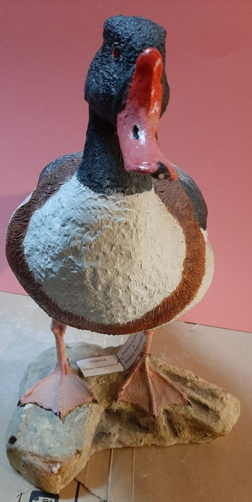 Volpoca in scultura di argilla e dimensioni naturali - immagine 3