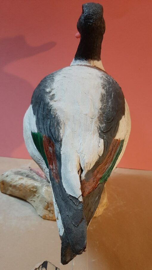 Volpoca in scultura di argilla e dimensioni naturali - immagine 4