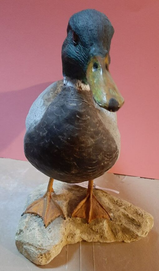 Germano reale in scultura di argilla e dimensioni naturali - immagine 3