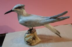 Beccapesci in scultura di argilla e dimensioni naturali