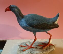 Pollo sultano in scultura di argilla e dimensioni naturali