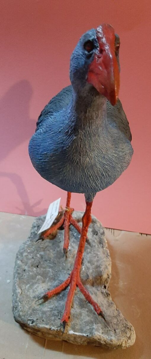 Pollo sultano in scultura di argilla e dimensioni naturali - immagine 3