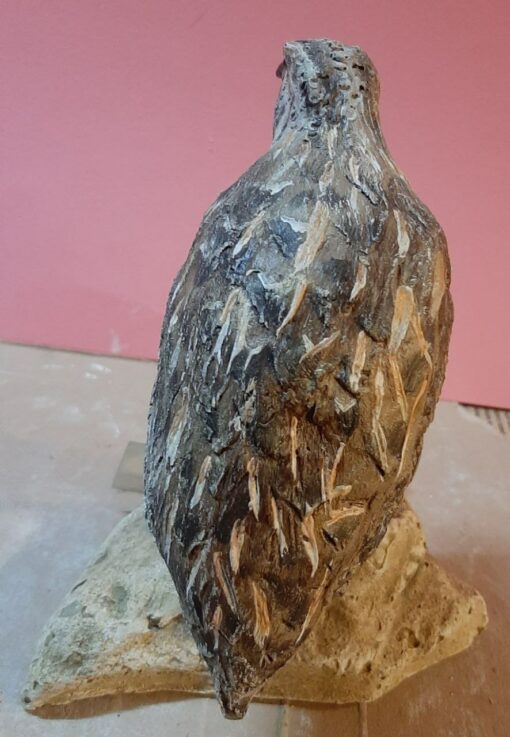 Quaglia in scultura di argilla e dimensioni naturali - immagine 4