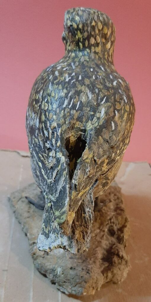 Piviere dorato in scultura di argilla e dimensioni naturali - immagine 4
