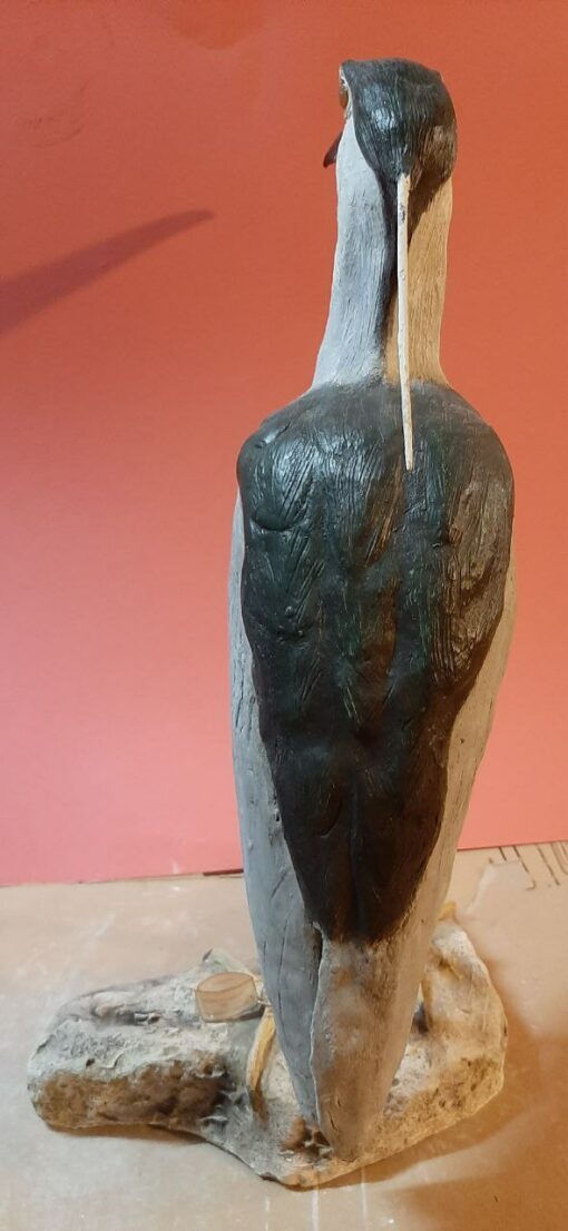 Nitticora in scultura di argilla e dimensioni naturali - immagine 4