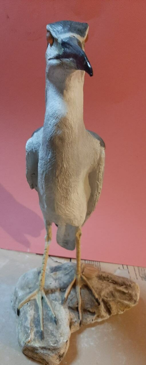 Nitticora in scultura di argilla e dimensioni naturali - immagine 3