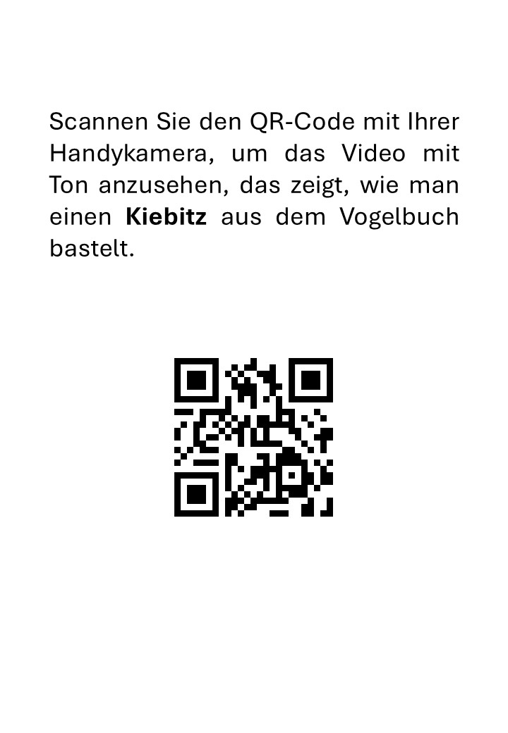 Taxidermie Zubereitung eines Kiebitzes Ausgabe 2025 - immagine 3