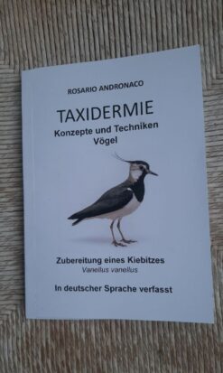Taxidermie Zubereitung eines Kiebitzes