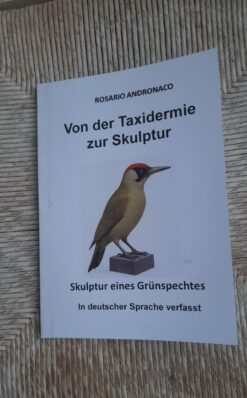 Von der Taxidermie zur Skulptur eines Grünspechts