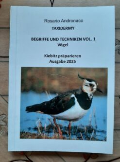 Tassidermia Zubereitung eines Kiebitzes Ausgabe 2025