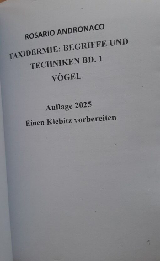 Tassidermia Zubereitung eines Kiebitzes Ausgabe 2025 - immagine 3