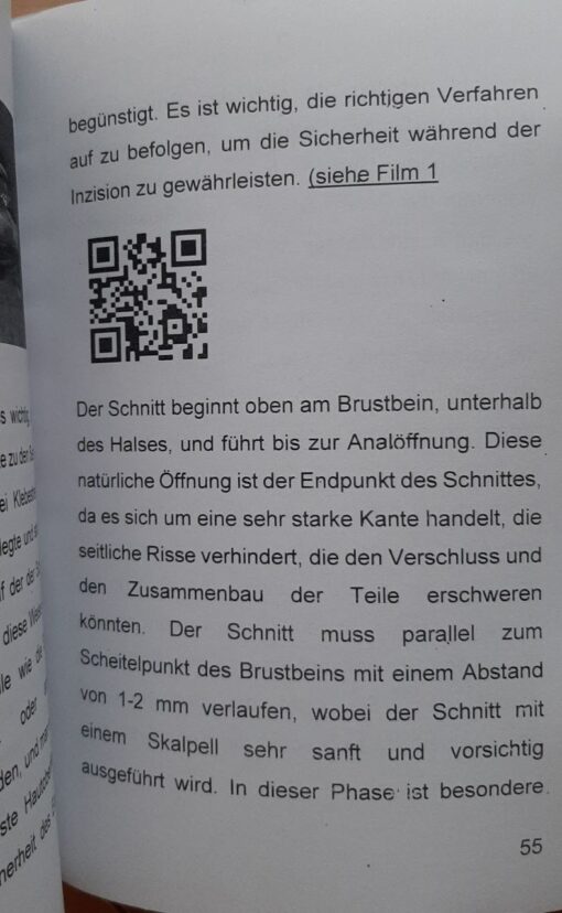 Tassidermia Zubereitung eines Kiebitzes Ausgabe 2025 - immagine 2
