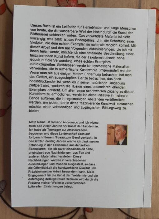 Von Taidermia zur Skulptur eines Grünspechts - immagine 4