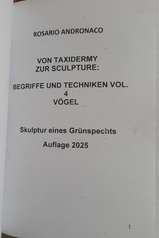Von Taidermia zur Skulptur eines Grünspechts - immagine 3