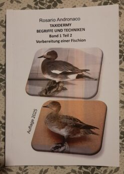 Präparation einer Pfeifente durch Präparation Ausgabe 2025