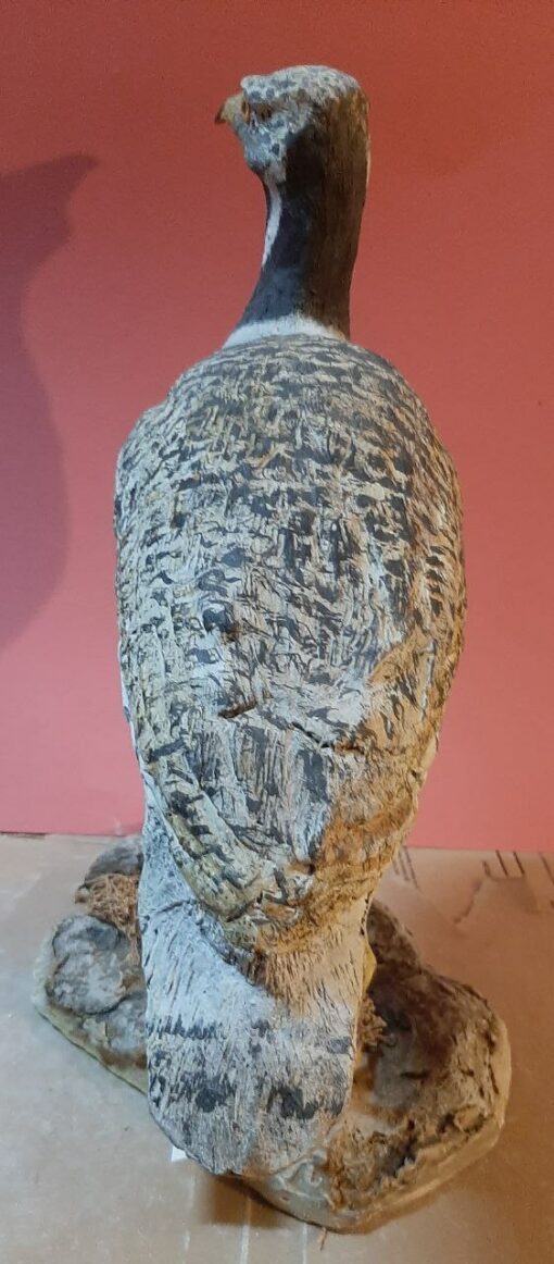 Gallina prataiola in scultura di argilla e dimensioni naturali - immagine 4