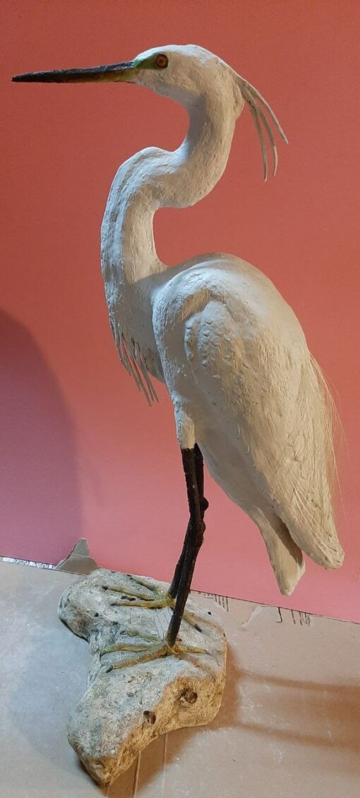 Garzetta in scultura di argilla e dimensioni naturali da collezione - immagine 2