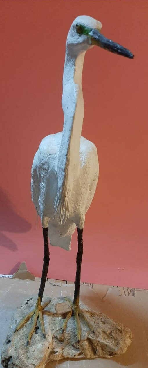 Garzetta in scultura di argilla e dimensioni naturali da collezione - immagine 3