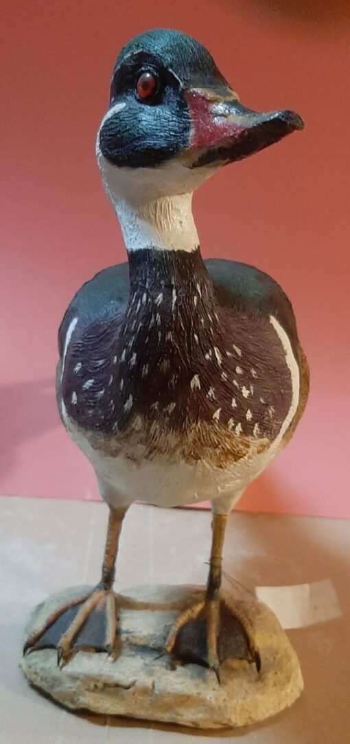 Anatra sposa in scultura di argilla e dimensioni naturali da collezione - immagine 3