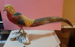 Fagiano dorato in scultura di argilla e dimensioni naturali