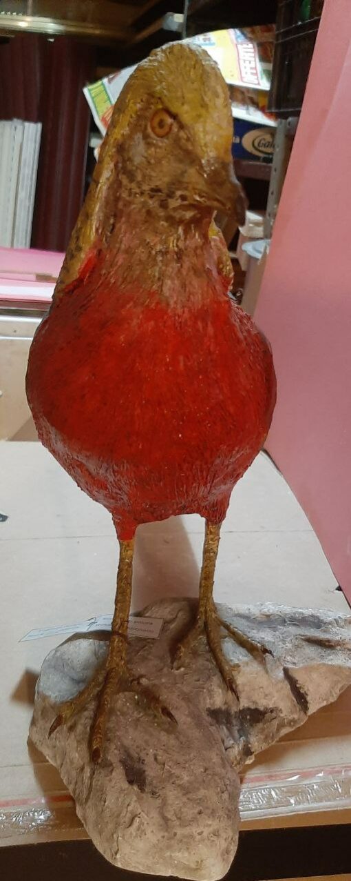 Fagiano dorato in scultura di argilla e dimensioni naturali - immagine 3