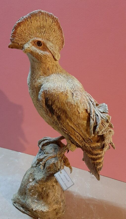 Rupicola in scultura di argilla e dimensioni naturali da collezione