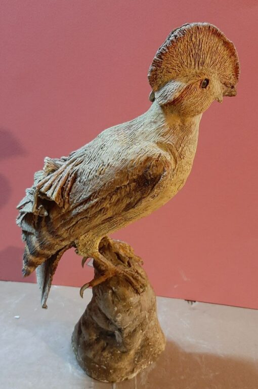 Rupicola in scultura di argilla e dimensioni naturali da collezione - immagine 2