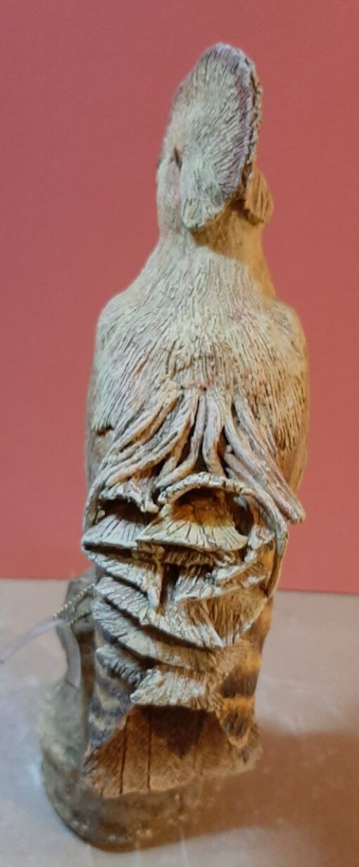 Rupicola in scultura di argilla e dimensioni naturali da collezione - immagine 4