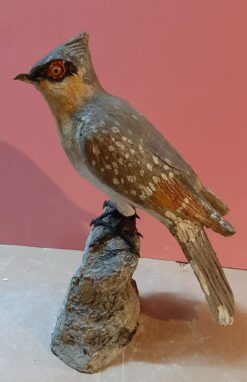 Cuculo dal ciuffo in scultura di argilla e dimensioni naturali da collezione