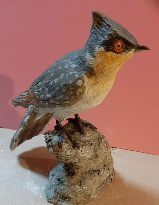 Cuculo dal ciuffo in scultura di argilla e dimensioni naturali da collezione - immagine 2